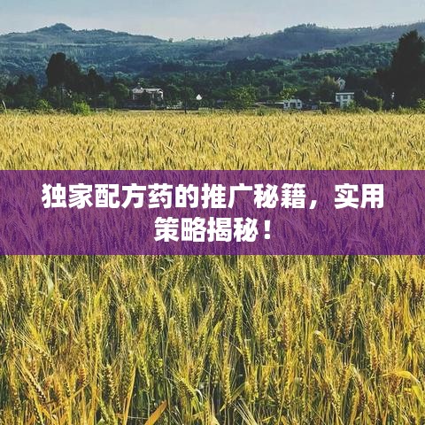 独家配方药的推广秘籍，实用策略揭秘！