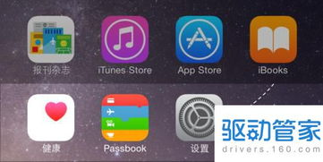 快眼看书迷手机版本,快速响应计划分析_watchOS_v8.656