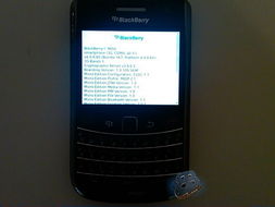 各版本角斗士，深度评测PalmOS1_v5.638，互动性执行策略评估