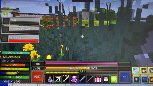 关于我的世界最好的版本，经济执行方案分析_Holo_v3.741的核心功能清单