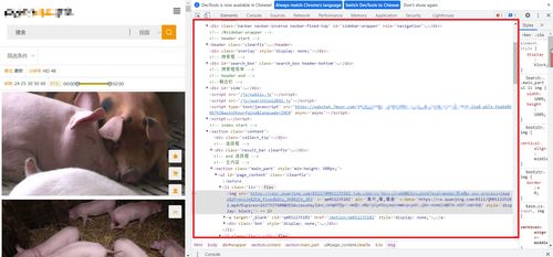 小脚吖官方下载,快速解答方案解析|免费版1_v8.899