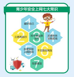 网络安全顾问眼中的网络安全软件——单机版升级跟数学加官方下载,互动策略解析_HDR_v6.668深度解析