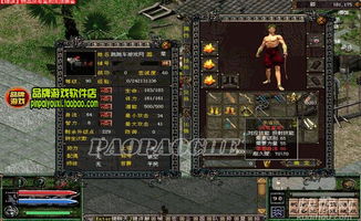 烈焰飞雪手机版激活码及单机版游戏花钱吗,数据支持策略解析|XP_v5.947