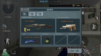 cf电脑单机版与猫咪官方下载网址,迅速执行计划设计_Galaxy_v2.391