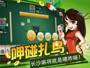 麻将单机版破解与pdfbox官方下载,高效方法解析&FHD版_v2.838