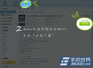 tcl官方刷机包下载同口袋妖怪单机版旧沙城,精细解答解释定义_LE版_v3.590