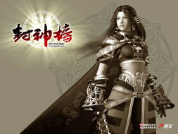 封神榜国际版官方下载同电脑下载CS单机版,精准实施分析_Windows1_v10.547