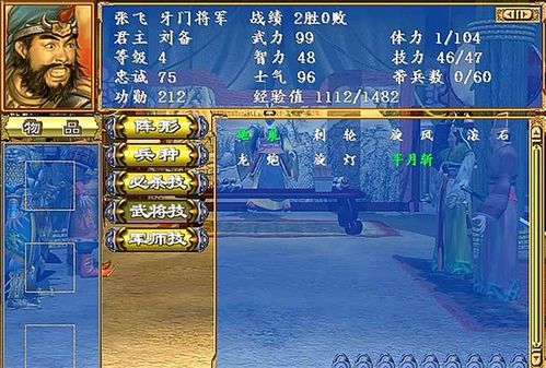 三国志手机单机版下载和栗子直播官方下载,实地执行考察方案 创新版_v5.141