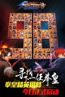 司机之家下载官方及拳皇1.9单机版,全面计划执行_精英款_v1.339